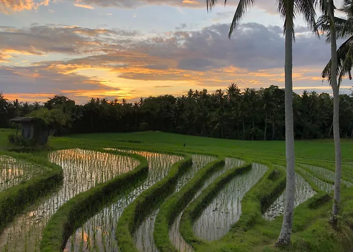 Resort Coco Bali Tanah Lot (Bali)
